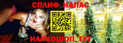 дмт Белореченск