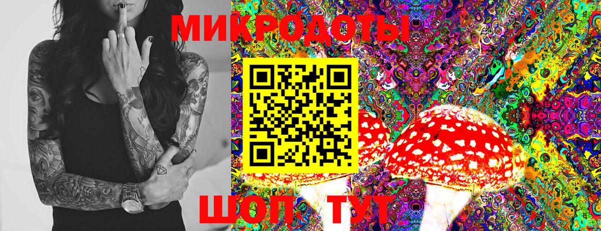 наркотики  Вход с VPN  Каменка  Галлюциногенные грибы MAGIC MUSHROOMS 
